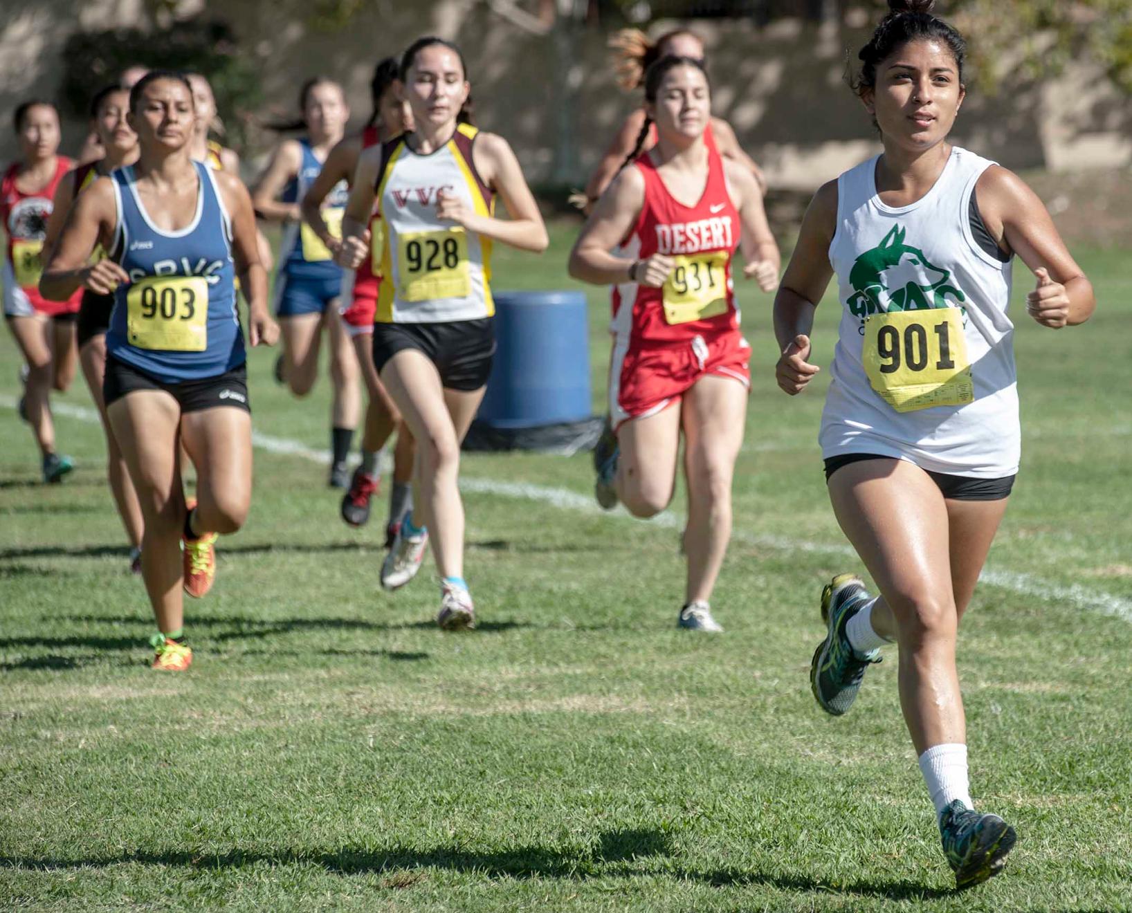 Women’s cross country gains experience