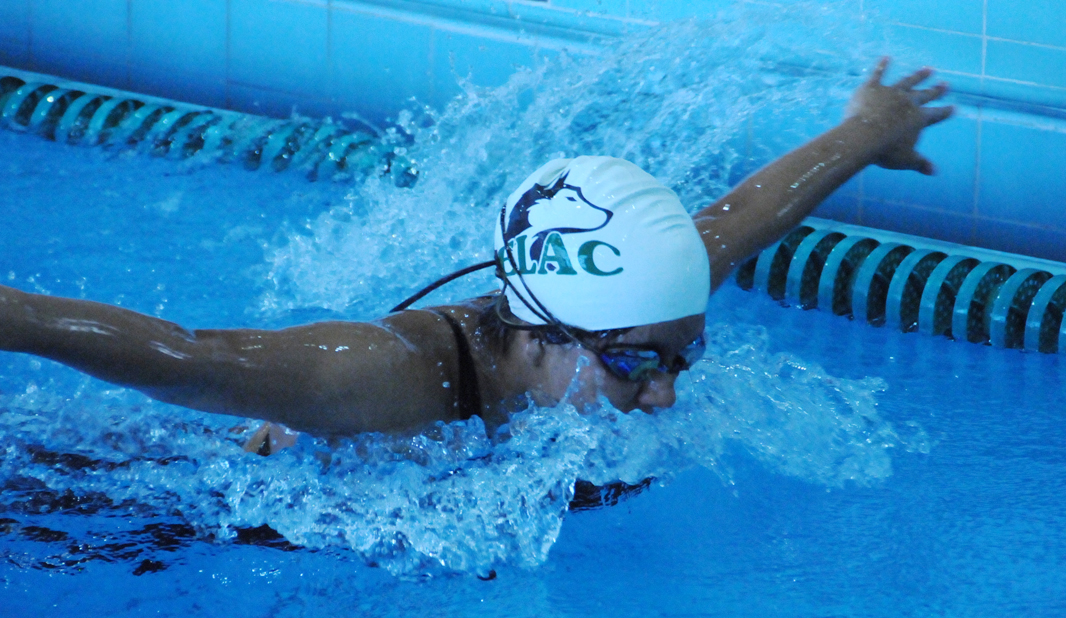 2014-15 Women's Swim & Dive Photo Gallery