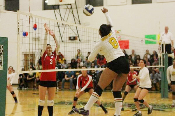 Women's Volleyball Returns to NECC Championship With 3-0 Win Over Daniel Webster